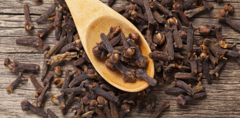 Cloves closeup
