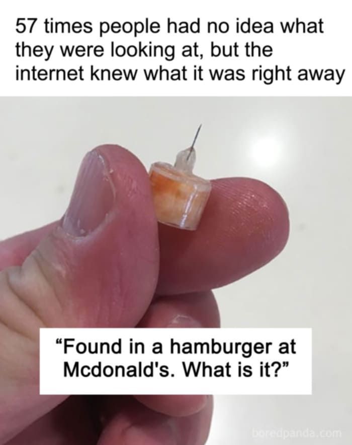 495182847_122129042216762766_990916654116572099_n