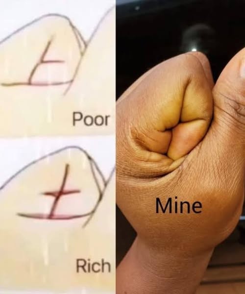 499660996_122130691556780549_9044320590747764547_n