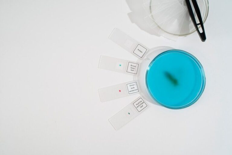 top-view-world-science-day-arrangement-with-copy-space_23-2149112640-860x574