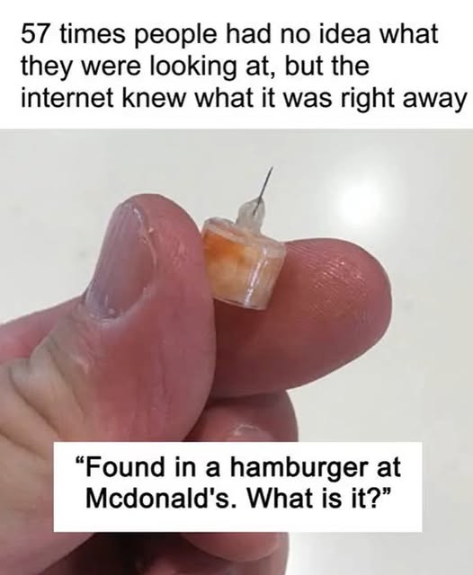 503193081_122228339792109340_1359603030587685791_n
