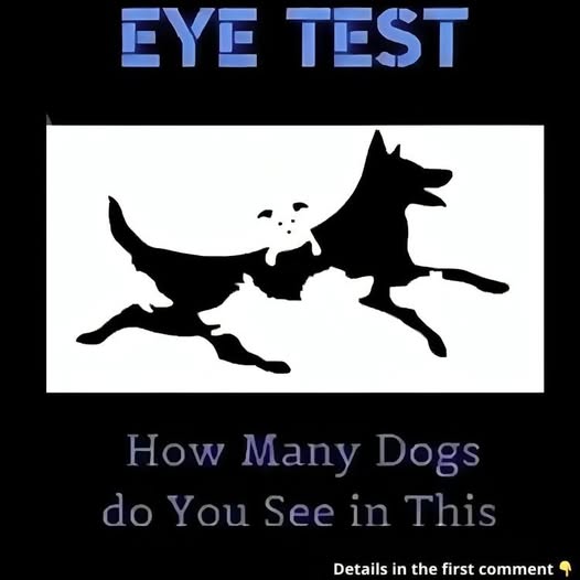 503385729_678021991704398_527637426534728991_n