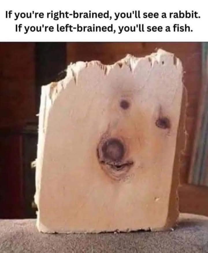 506469733_687944537378810_2183283072284663941_n