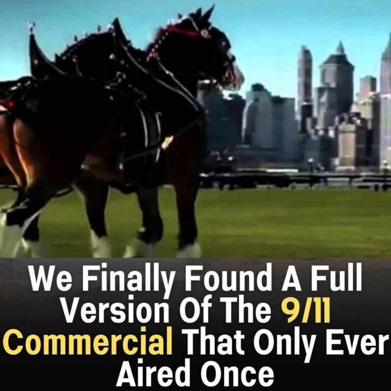 515515321_713668681641418_920004984216204170_n