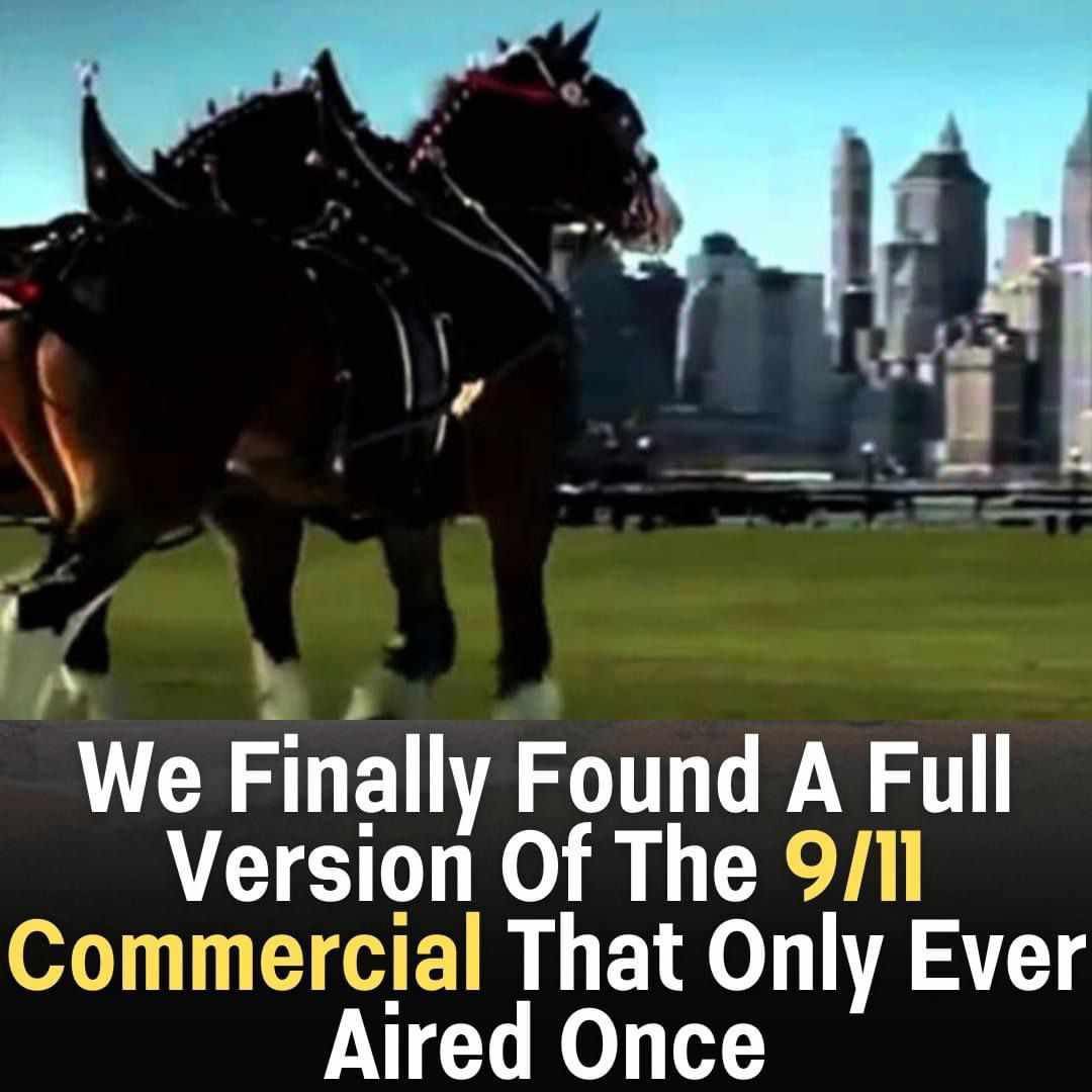 515515321_713668681641418_920004984216204170_n