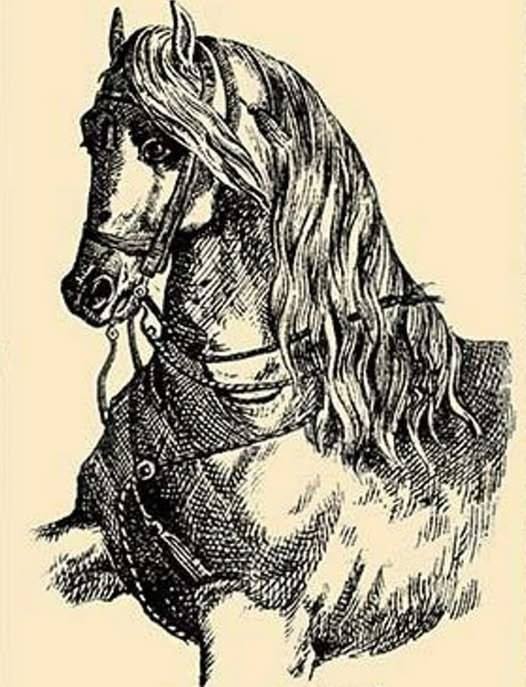 517406005_622351664218487_6442613813301326470_n
