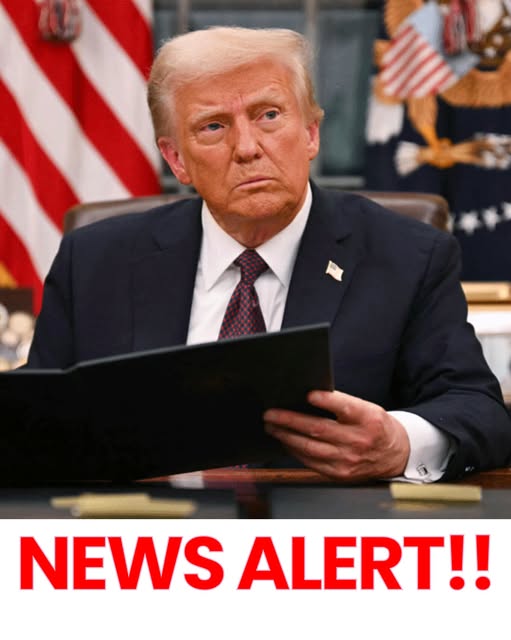 527587788_737875175887435_4966508245235915449_n