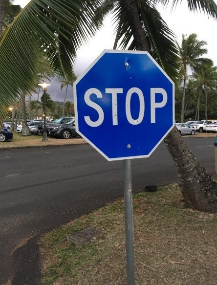 527778553_737860909222195_1970575533472332394_n