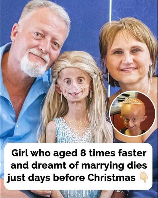 529330121_122159259224785088_7502033190567903343_n