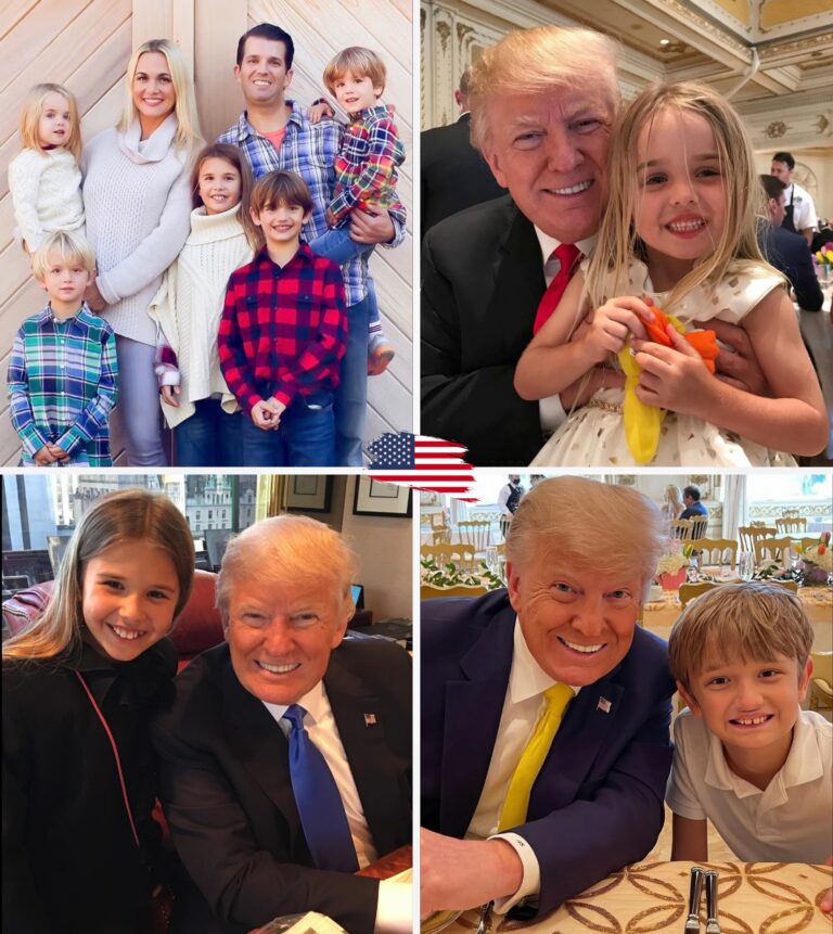 530838282_732942516212345_5255958244469827167_n