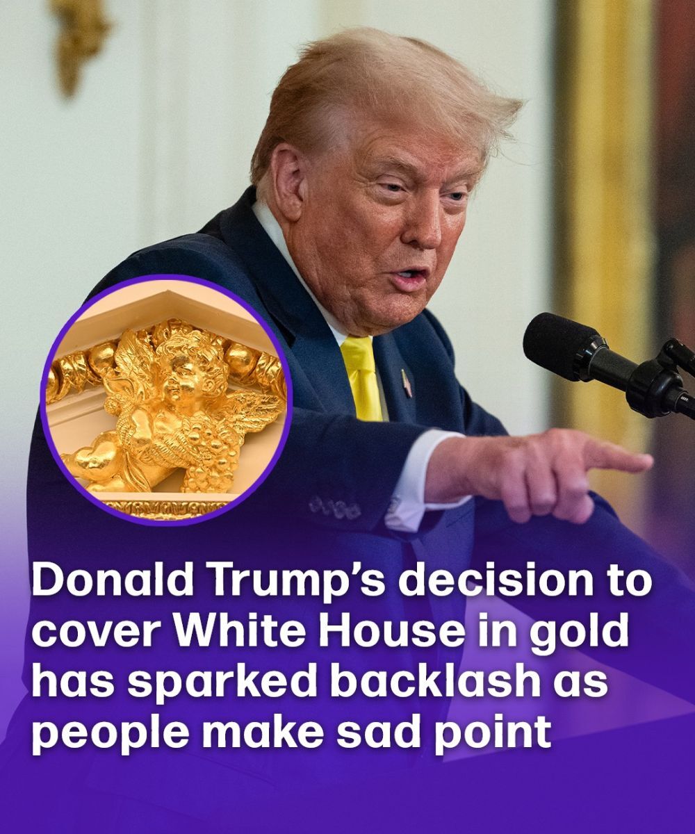 532002541_734977116008885_267462821162431223_n