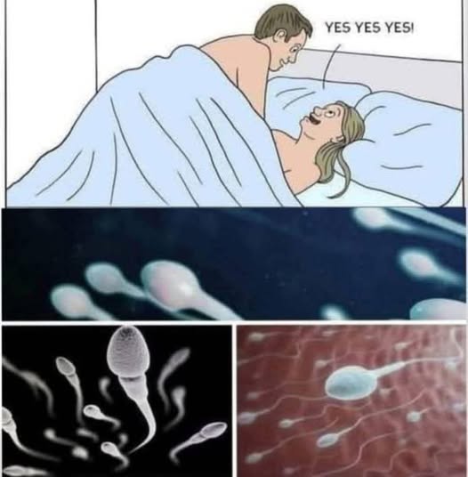 532040205_747457901595829_1282327384132235730_n