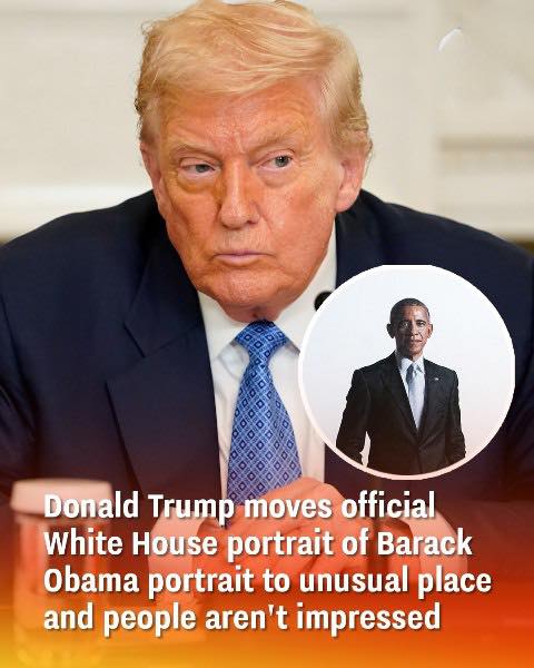 532279302_122145867122780549_24165389896391572_n