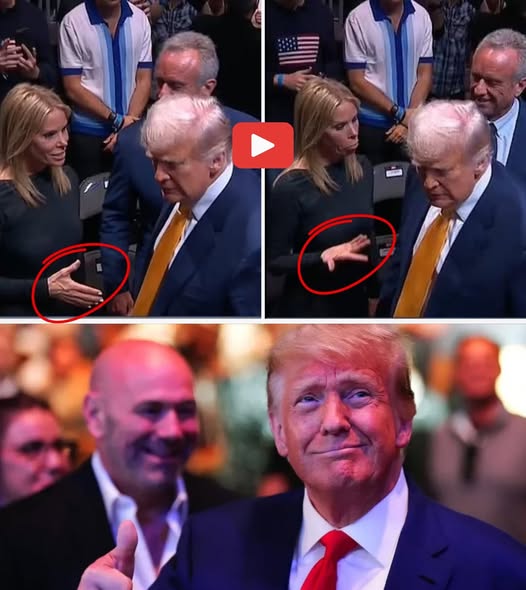 534847209_737478885758708_8550057103993027434_n