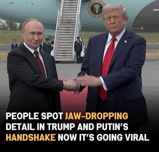 535388825_738133299026600_6482475253768441078_n