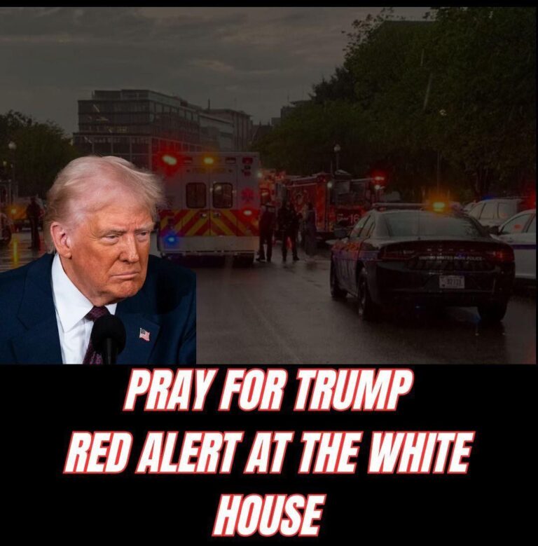 539196504_754143944150640_852181894782783943_n