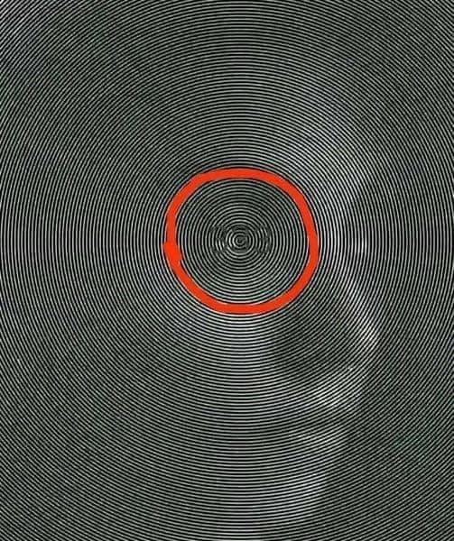 539829721_122164039844785088_6719193099788687389_n