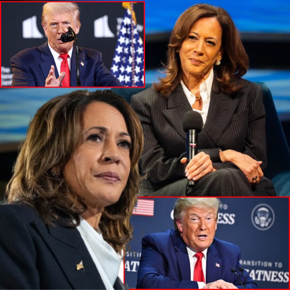 573501762_797118929794703_739907136101574031_n